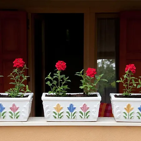 Apartment Marija